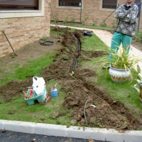 JARDINERÍA LA COROLLA