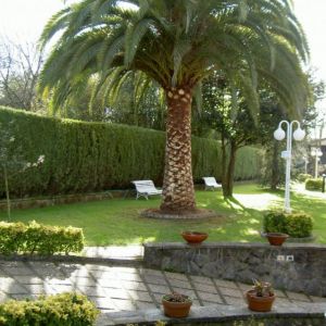 JARDINERÍA LA COROLLA