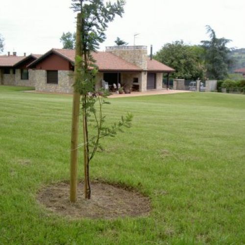 JARDINERÍA LA COROLLA